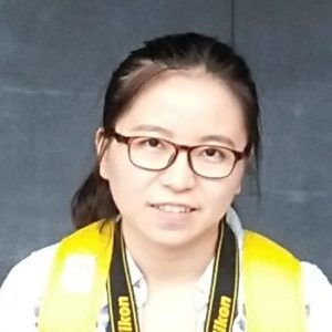 qinghong